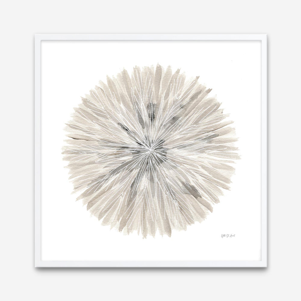 Nature's Pinwheel I (Square) Art Print