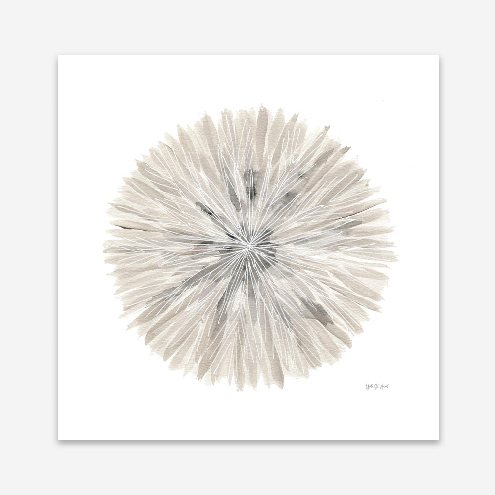 Nature's Pinwheel I (Square) Art Print