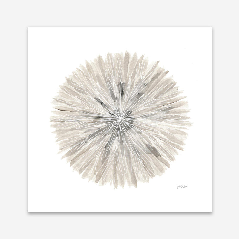 Nature's Pinwheel I (Square) Art Print