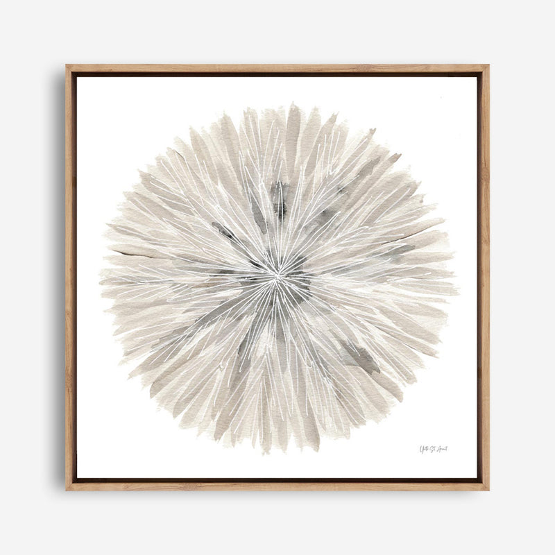 Nature's Pinwheel I (Square) Canvas Print