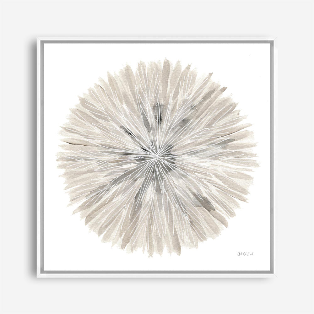 Nature's Pinwheel I (Square) Canvas Print