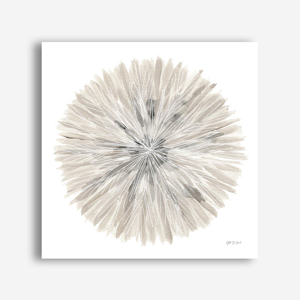 Nature's Pinwheel I (Square) Canvas Print