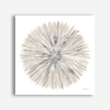 Nature's Pinwheel I (Square) Canvas Print