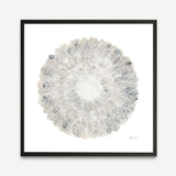 Nature's Pinwheel II (Square) Art Print