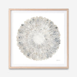 Nature's Pinwheel II (Square) Art Print