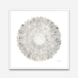 Nature's Pinwheel II (Square) Art Print