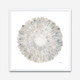 Nature's Pinwheel II (Square) Art Print