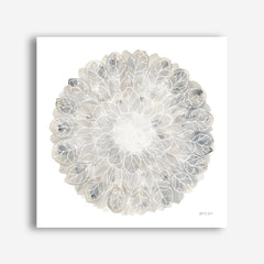 Nature's Pinwheel II (Square) Canvas Print