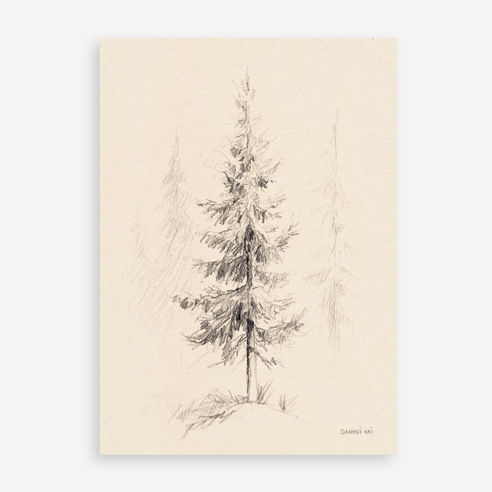 Elegant Pine I Art Print