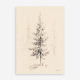Elegant Pine I Art Print