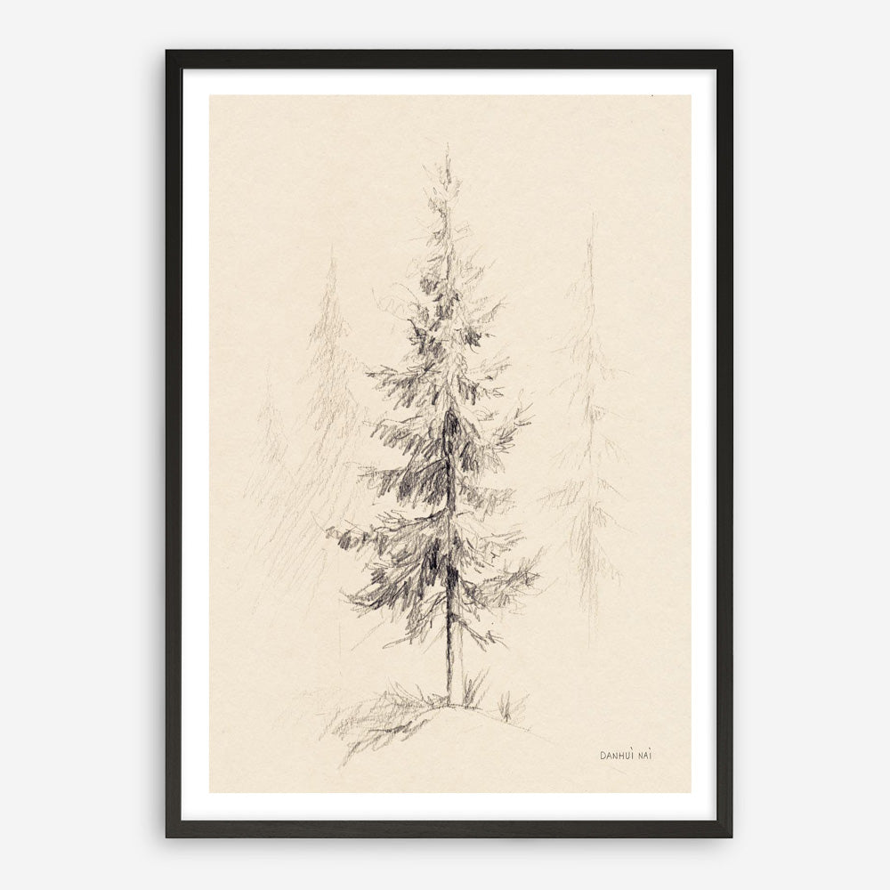 Elegant Pine I Art Print