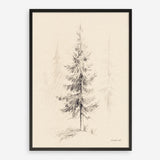 Elegant Pine I Art Print