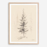 Elegant Pine I Art Print