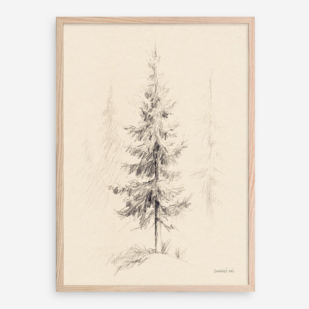 Elegant Pine I Art Print