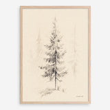 Elegant Pine I Art Print
