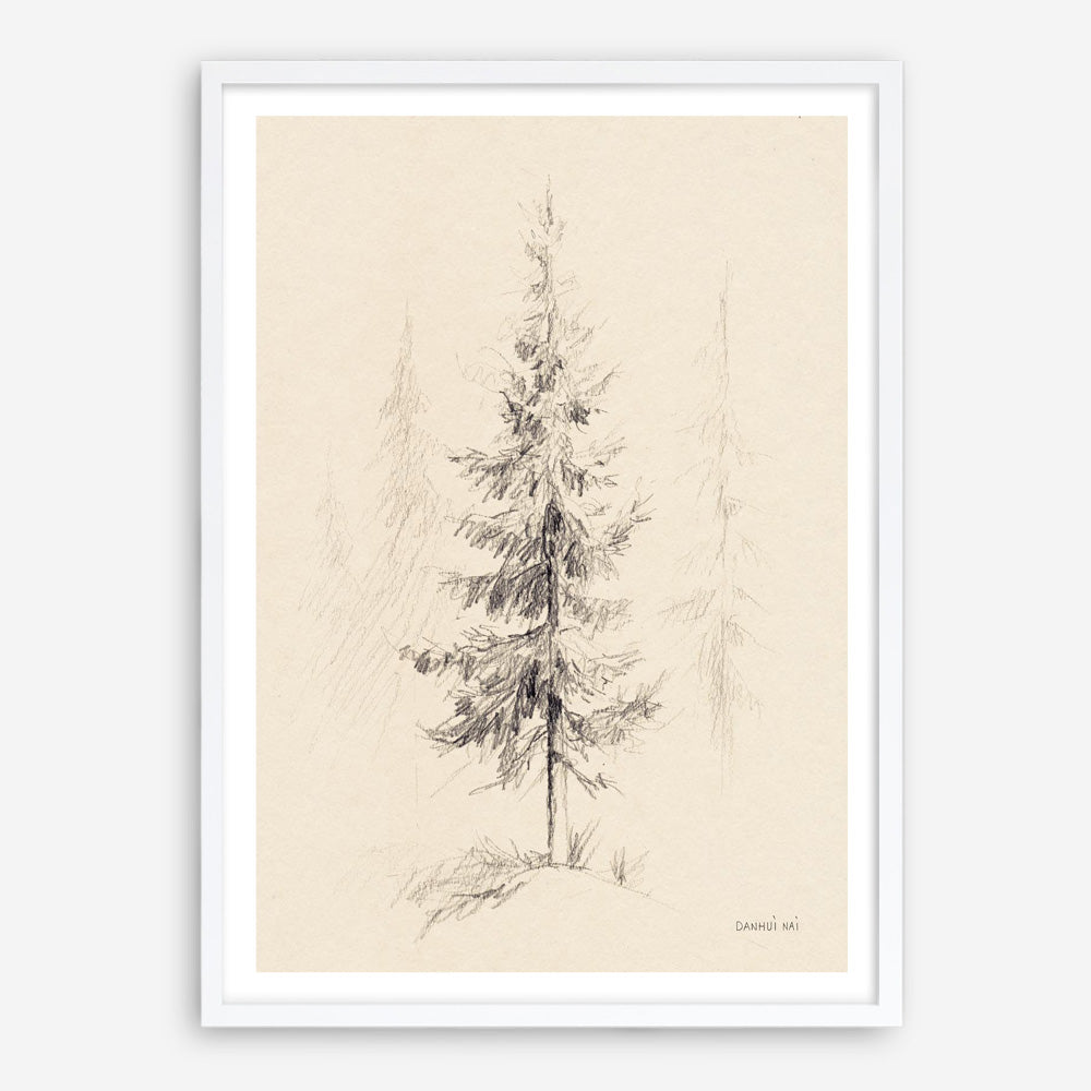 Elegant Pine I Art Print