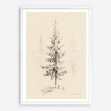 Elegant Pine I Art Print