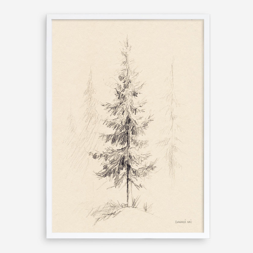 Elegant Pine I Art Print