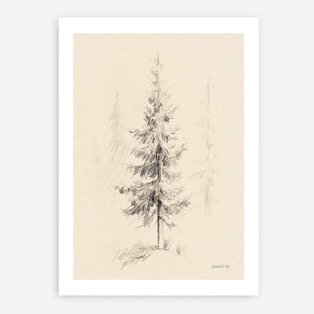 Elegant Pine I Art Print