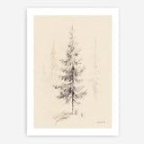 Elegant Pine I Art Print