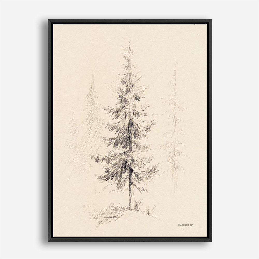 Elegant Pine I Canvas Print