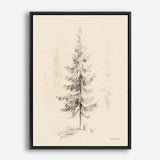 Elegant Pine I Canvas Print
