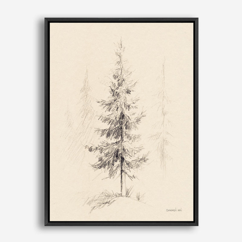 Elegant Pine I Canvas Print