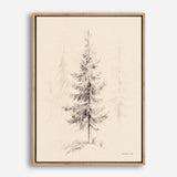Elegant Pine I Canvas Print