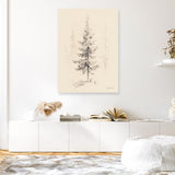 Elegant Pine I Canvas Print