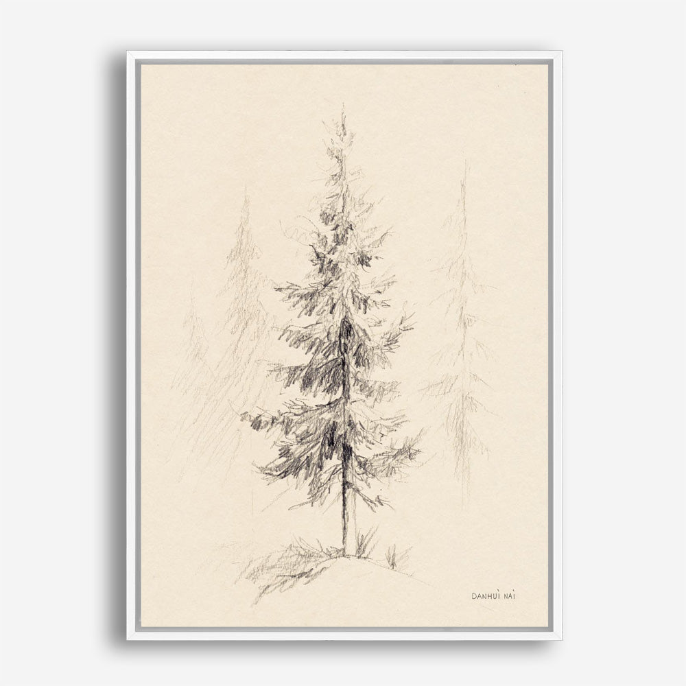 Elegant Pine I Canvas Print