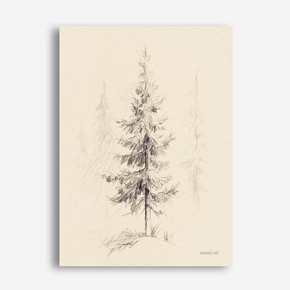 Elegant Pine I Canvas Print