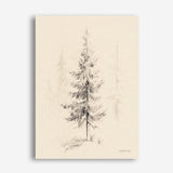 Elegant Pine I Canvas Print