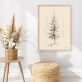 Elegant Pine I Art Print