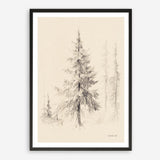 Elegant Pine II Art Print