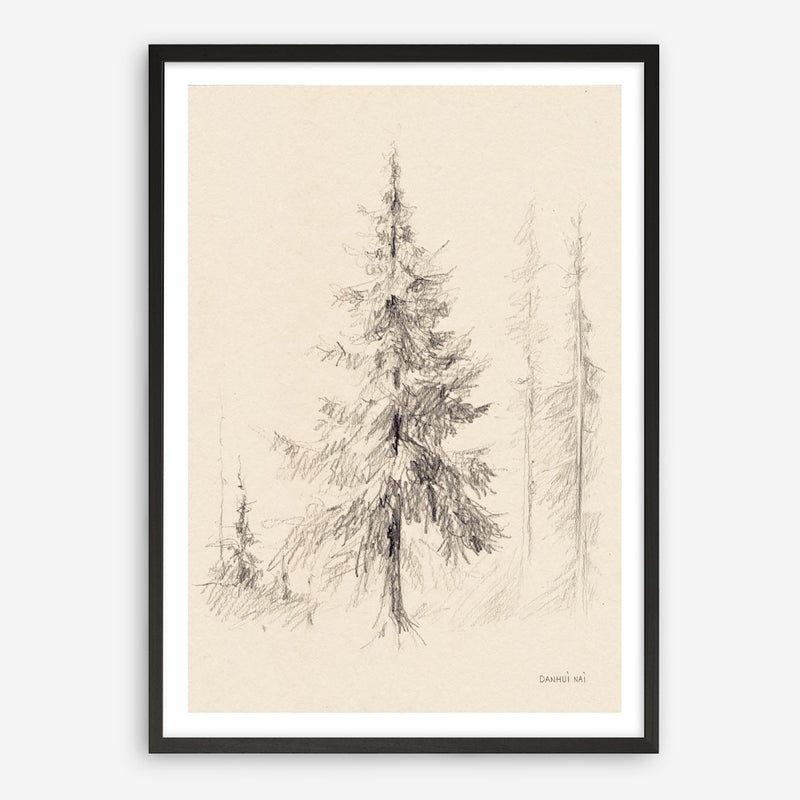 Elegant Pine II Art Print