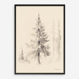 Elegant Pine II Art Print