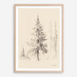 Elegant Pine II Art Print