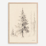 Elegant Pine II Art Print