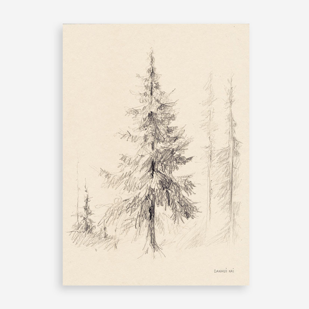 Elegant Pine II Art Print