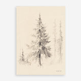 Elegant Pine II Art Print