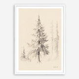 Elegant Pine II Art Print