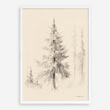 Elegant Pine II Art Print