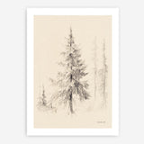 Elegant Pine II Art Print