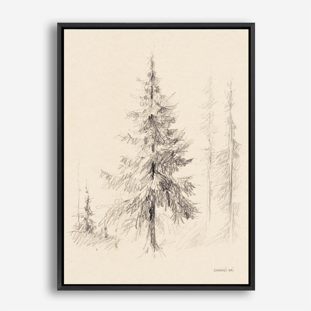 Elegant Pine II Canvas Print