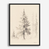 Elegant Pine II Canvas Print