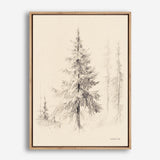 Elegant Pine II Canvas Print