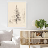 Elegant Pine II Canvas Print