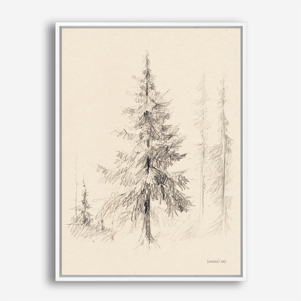 Elegant Pine II Canvas Print