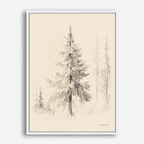 Elegant Pine II Canvas Print