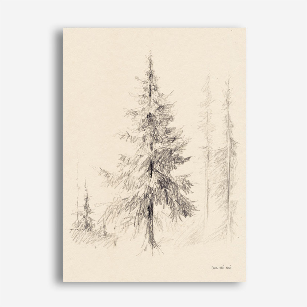 Elegant Pine II Canvas Print